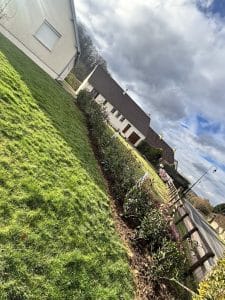 Plantation haie photinia Pont-l'Évêque